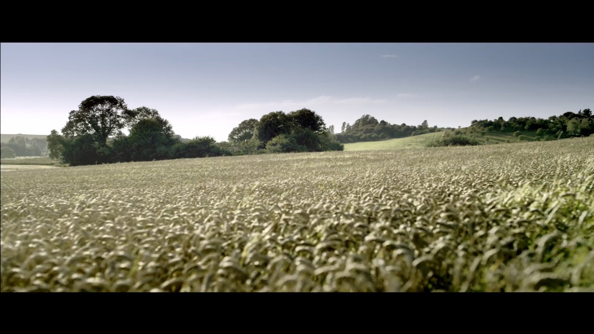 AUDI – UK