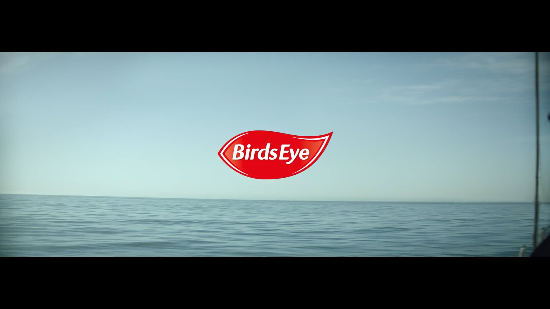 Birdseye – Fish Fingers