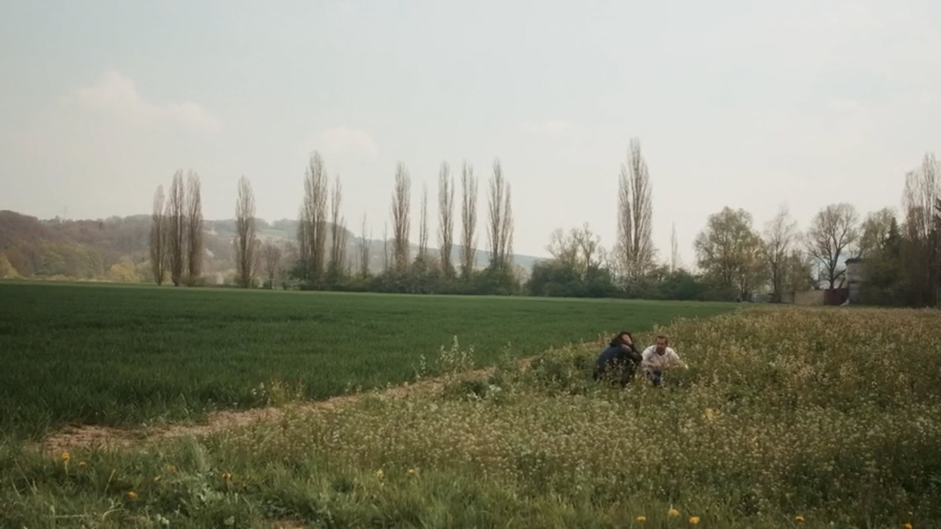 Insektensterben in Deutschland und_was_man_dagegen_tun_kann.mp4 (540p).mp4