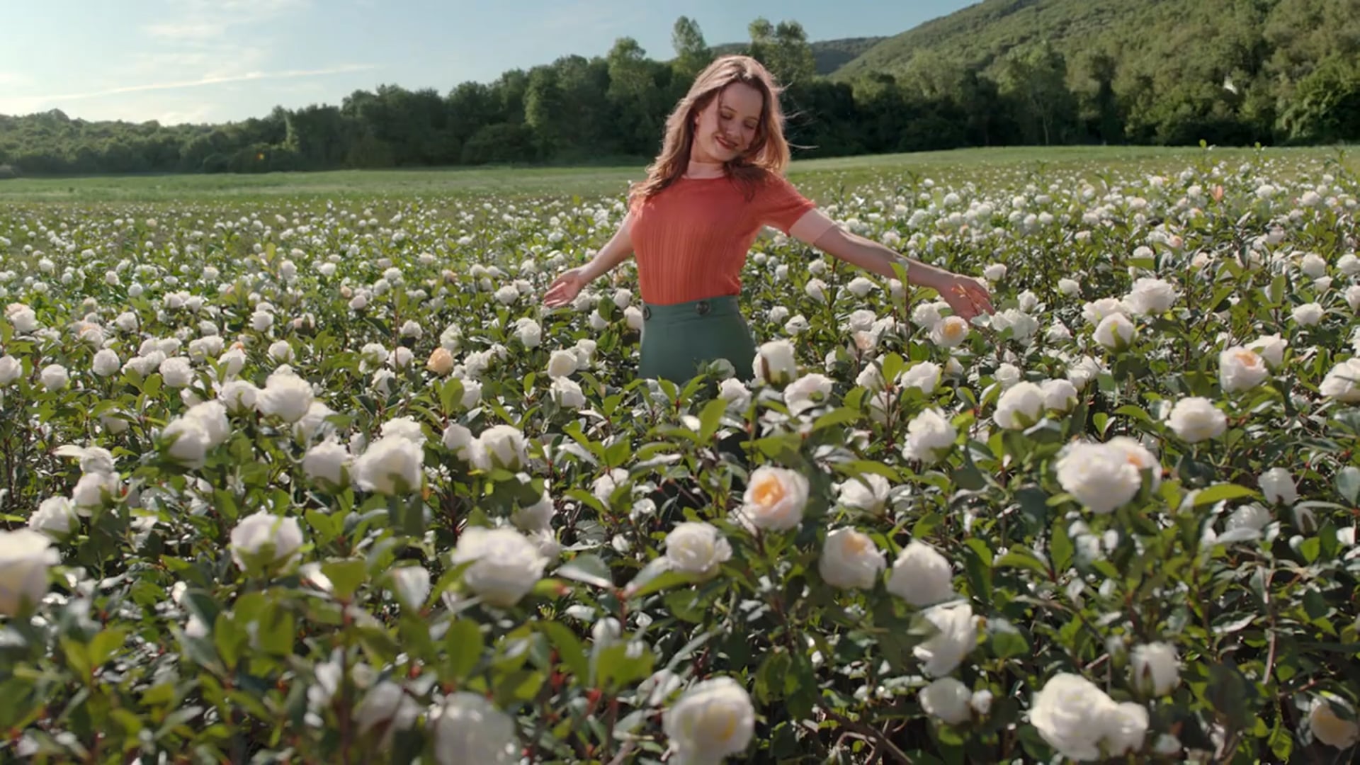 Pure Line – Kokun Hala Üzerimde