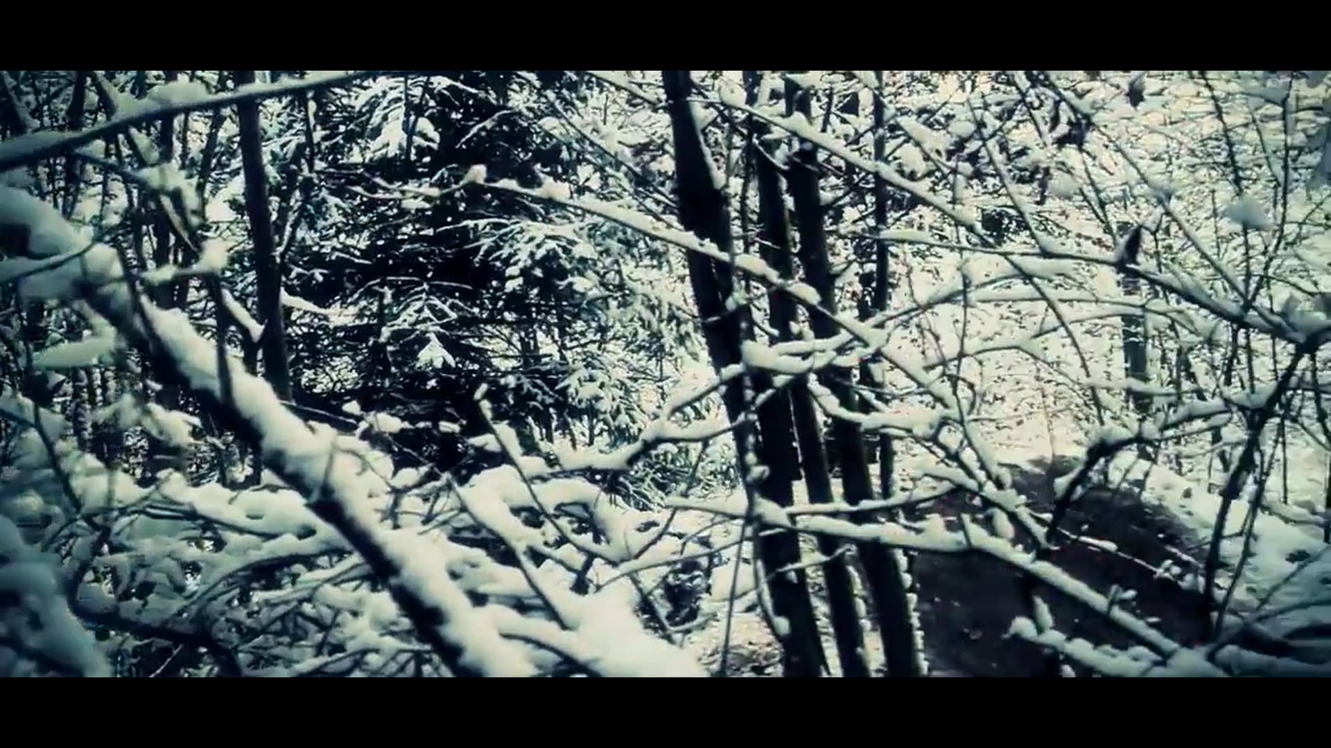 snowy_trails (720p)