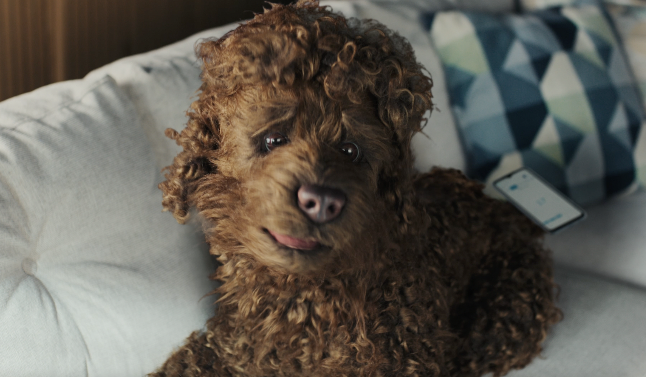 BOSCH – Cool & Heat – Like a Bosch