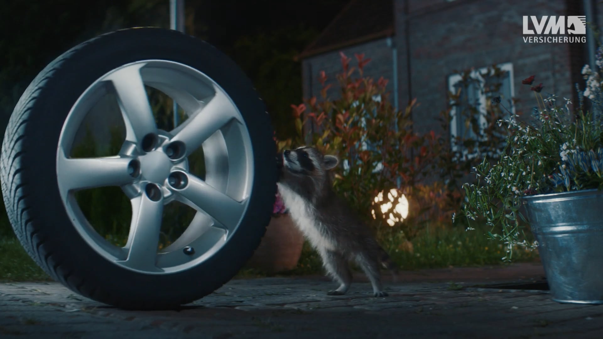 LVM – Racoon