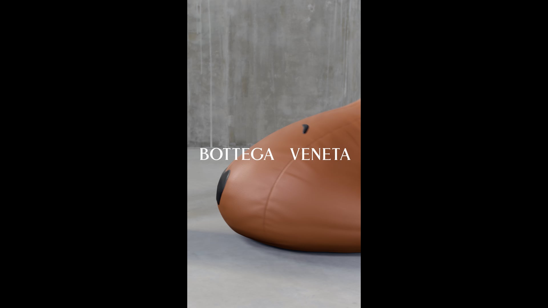 20250115_BV048_CAMPAIGN_SS25_EDIT03_Dog_10s_9x16_GRD04_DW04_logo