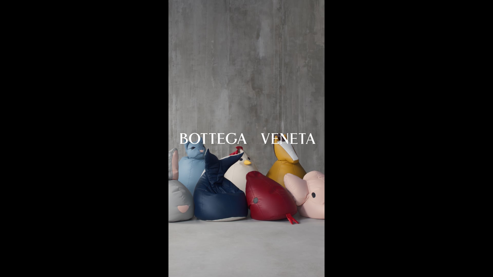 20250115_BV048_CAMPAIGN_SS25_EDIT06_Disguise_Fox_15s_9x16_GRD04_DW04_logo